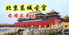 看了骚穴会流水的视频中国北京-东城古宫旅游风景区
